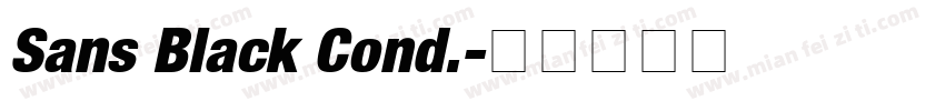 Sans Black Cond.字体转换